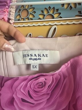 JessaKae Pink Rose Print Long Sleeve Dress